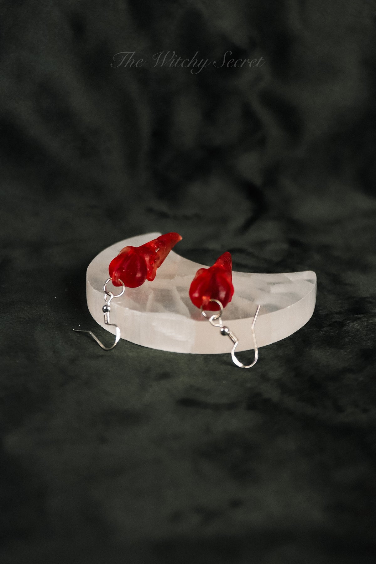 Midnight Raven Skull Drop Earings