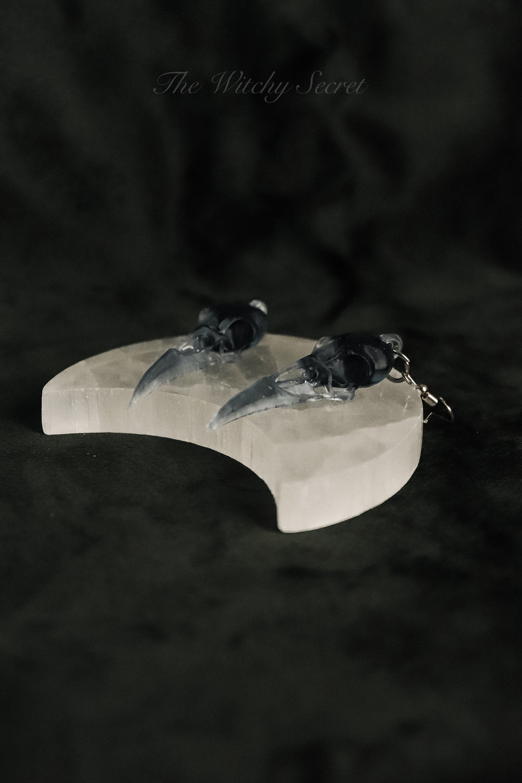 Midnight Raven Skull Drop Earings