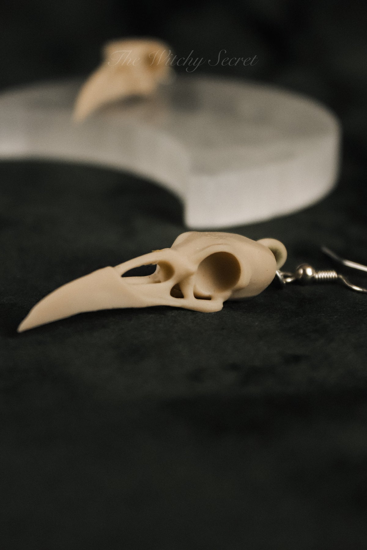 Midnight Raven Skull Drop Earings