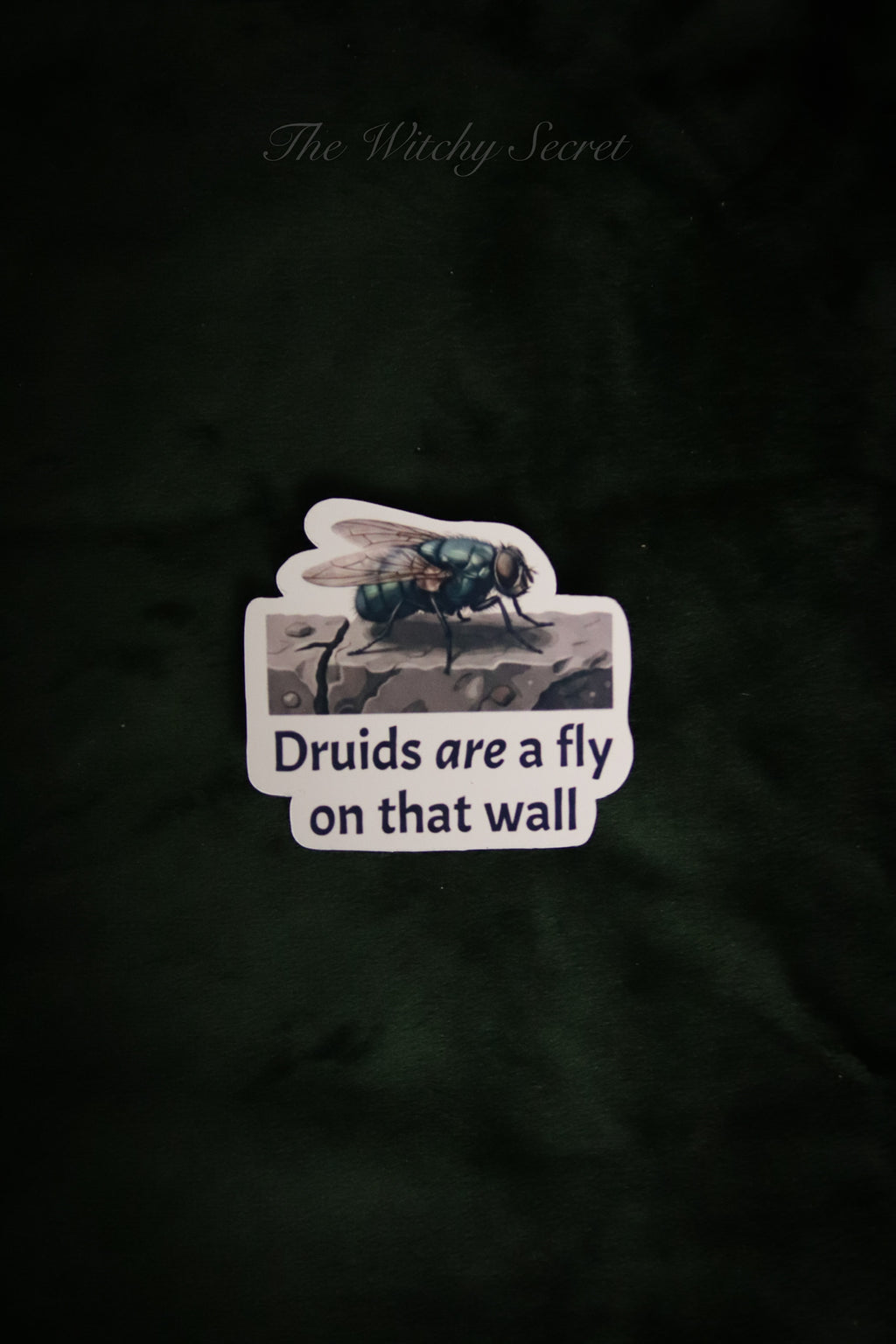 Fly On The Wall Sticker