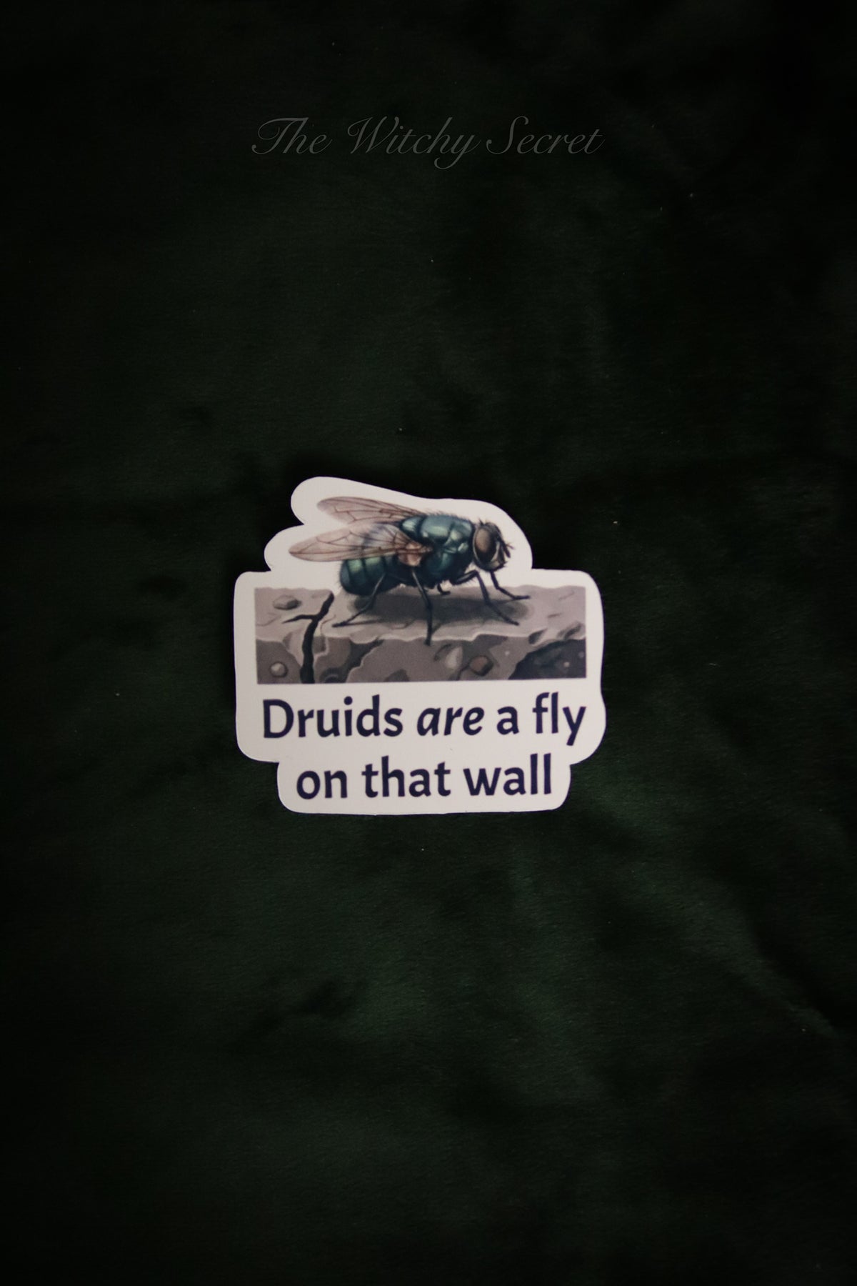 Fly On The Wall Sticker