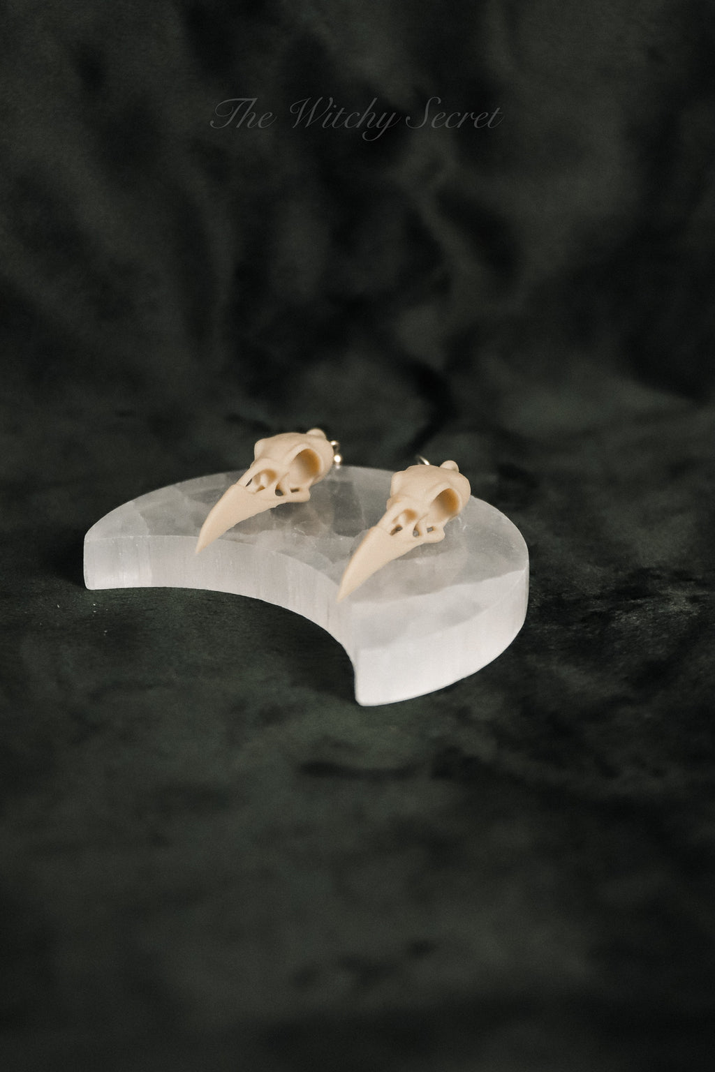 Midnight Raven Skull Drop Earings