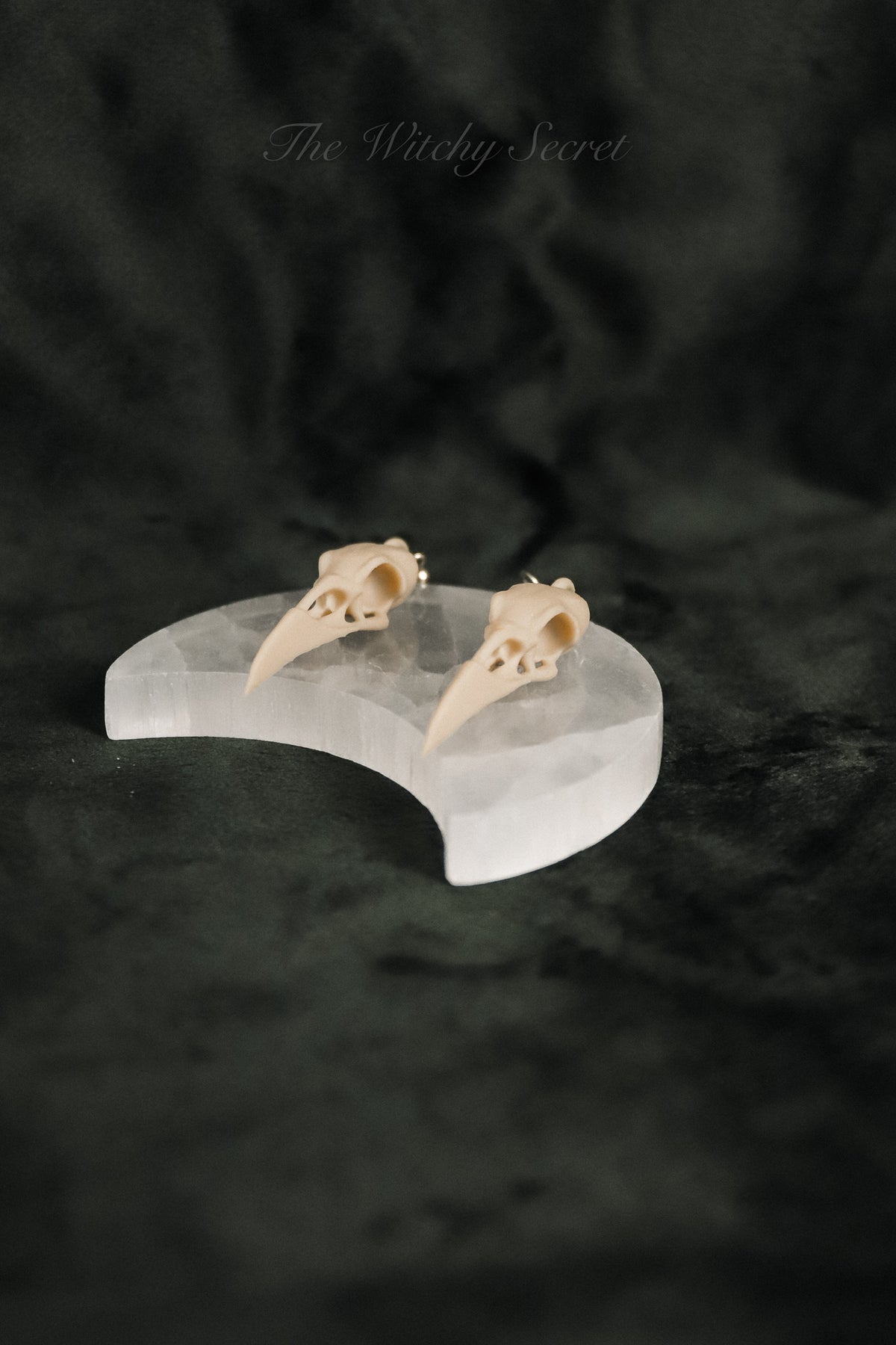 Midnight Raven Skull Drop Earings