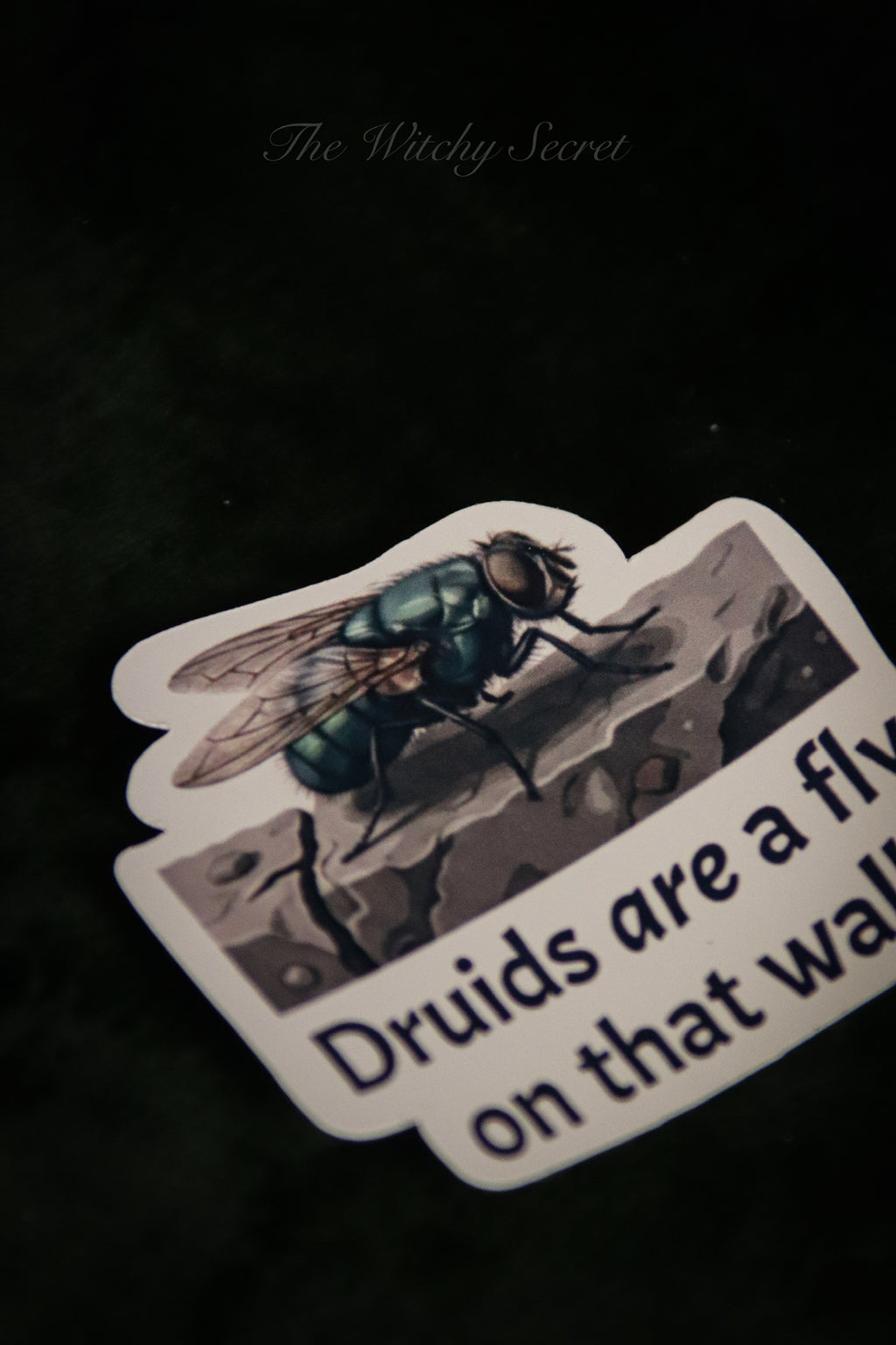 Fly On The Wall Sticker