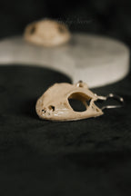 The Bog-Witch’s Token Earrings