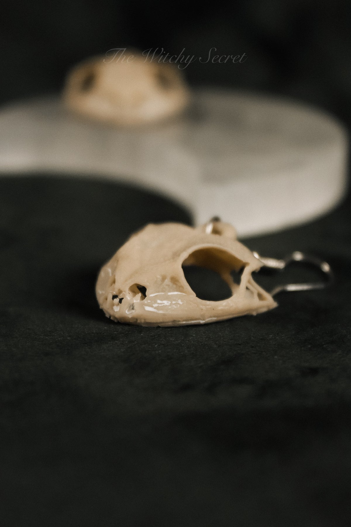 The Bog-Witch’s Token Earrings