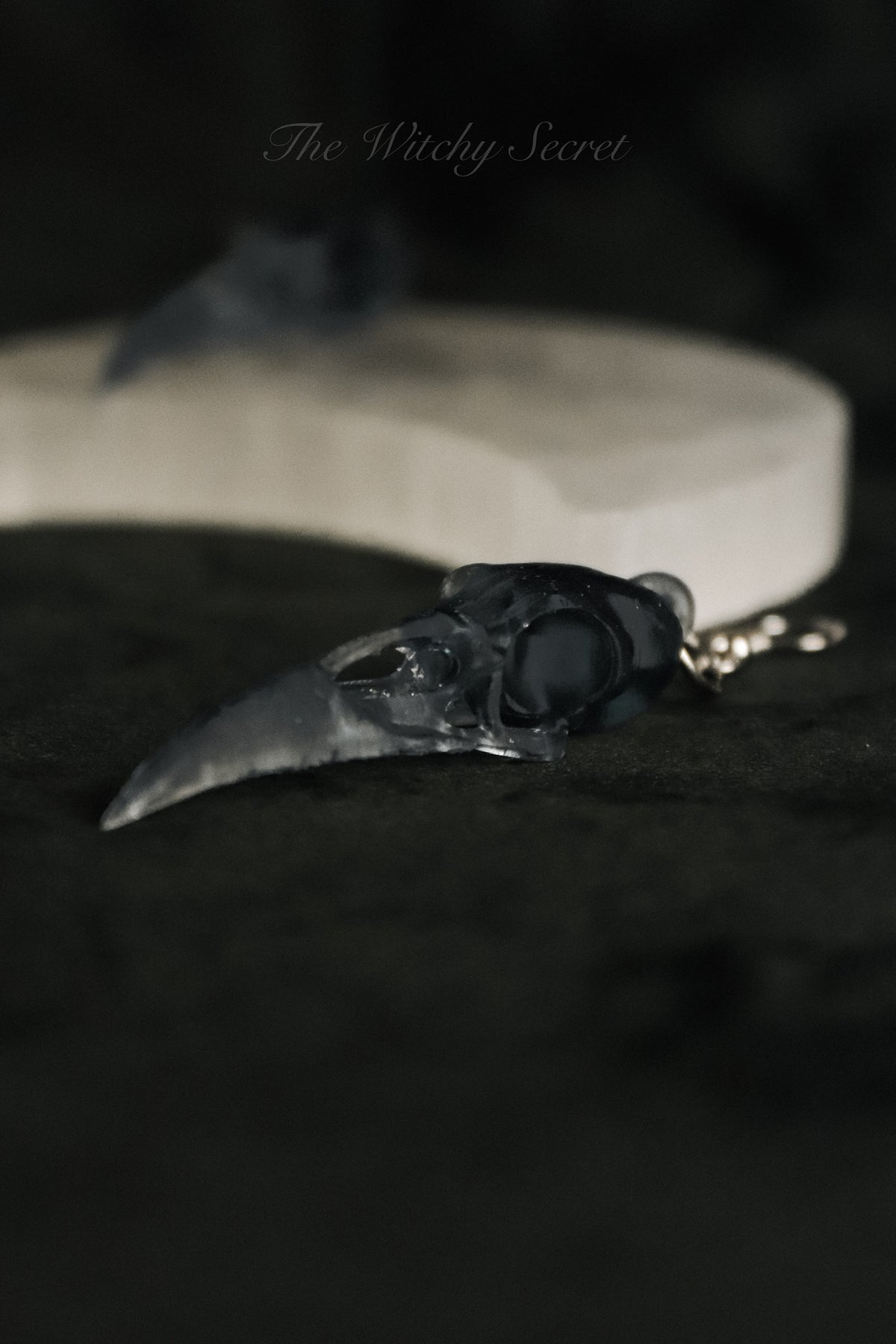 Midnight Raven Skull Drop Earings