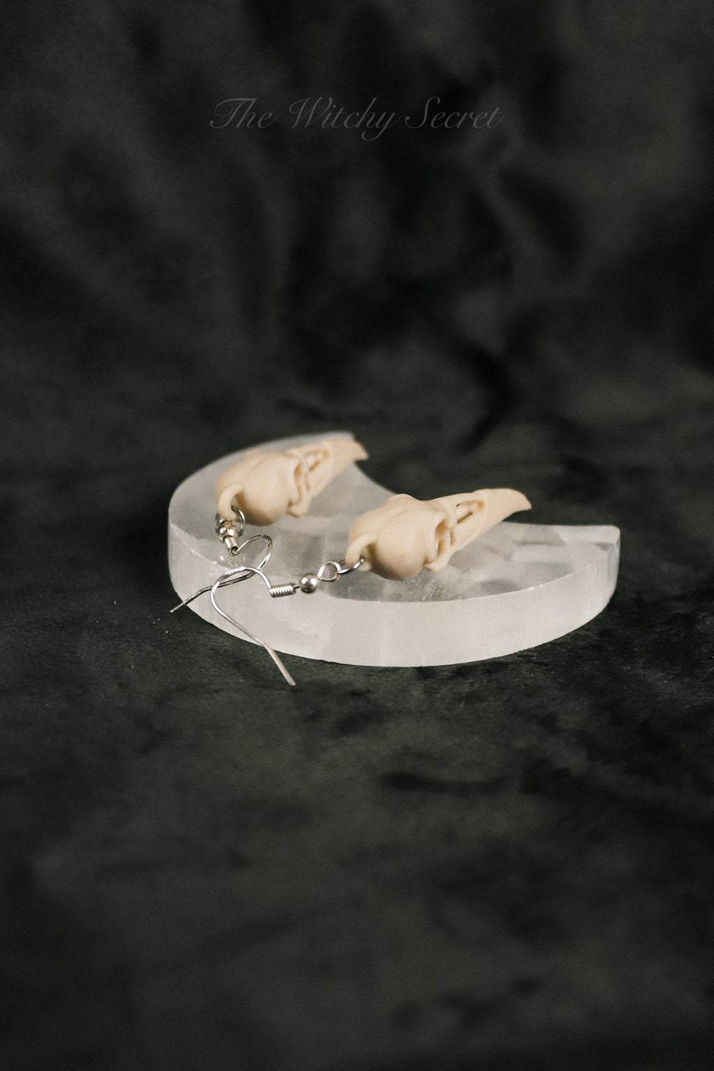 Midnight Raven Skull Drop Earings