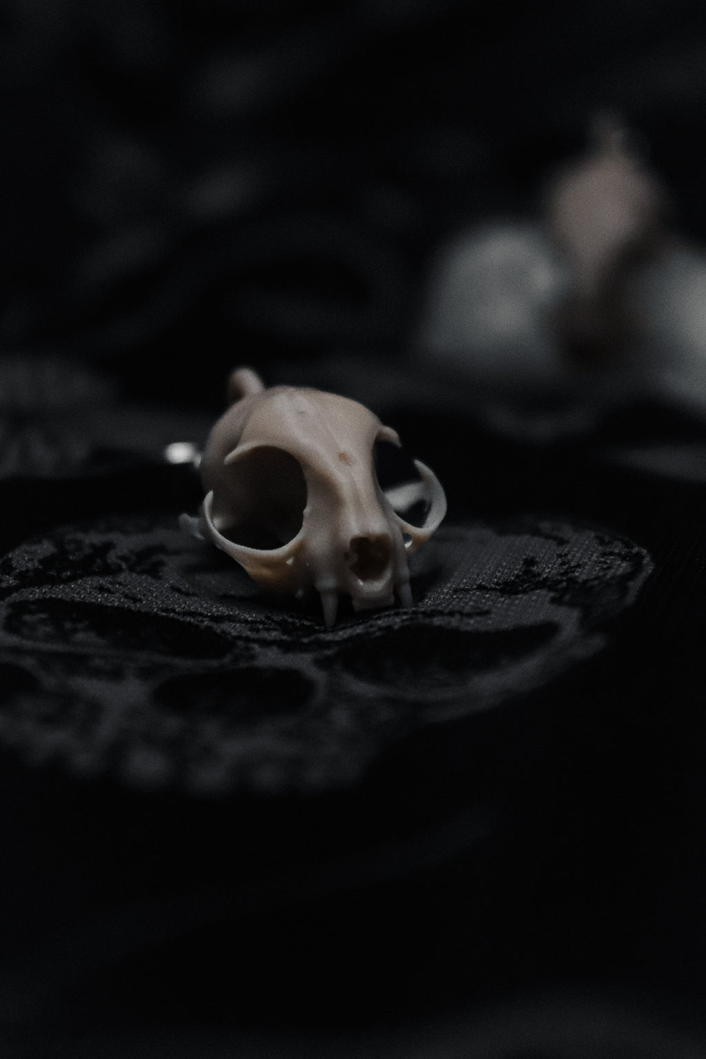 The Widows Familiar Earrings