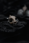 The Widows Familiar Earrings