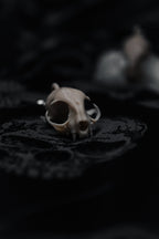 The Widows Familiar Earrings