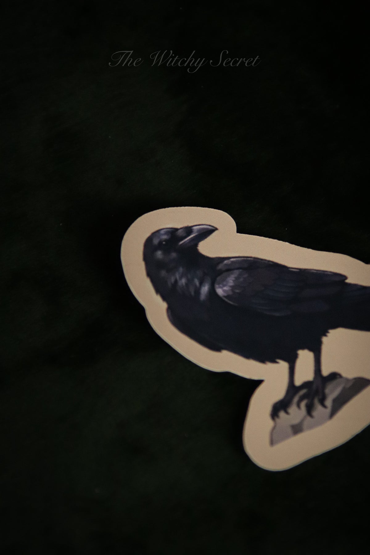 Perched Raven Sticker