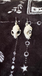 The Widows Familiar Earrings