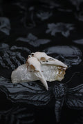 Midnight Raven Skull Drop Earings