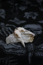 Midnight Raven Skull Drop Earings